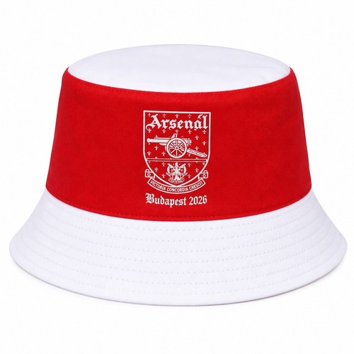 Arsenal champions league - arsenal, final